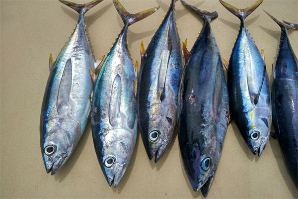 商務(wù)部：將幫助外貿(mào)企業(yè)擴(kuò)寬內(nèi)銷渠道，政策解讀！